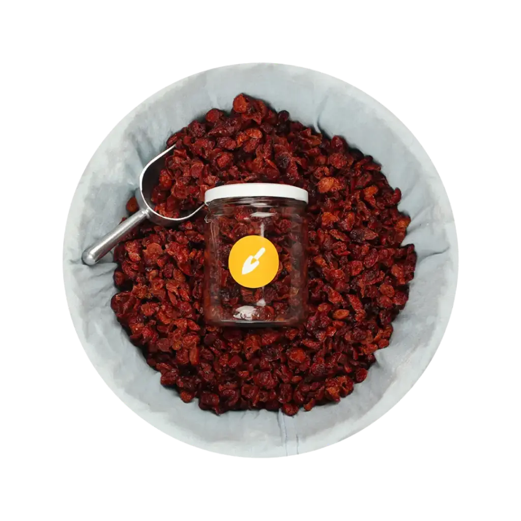 Arándano