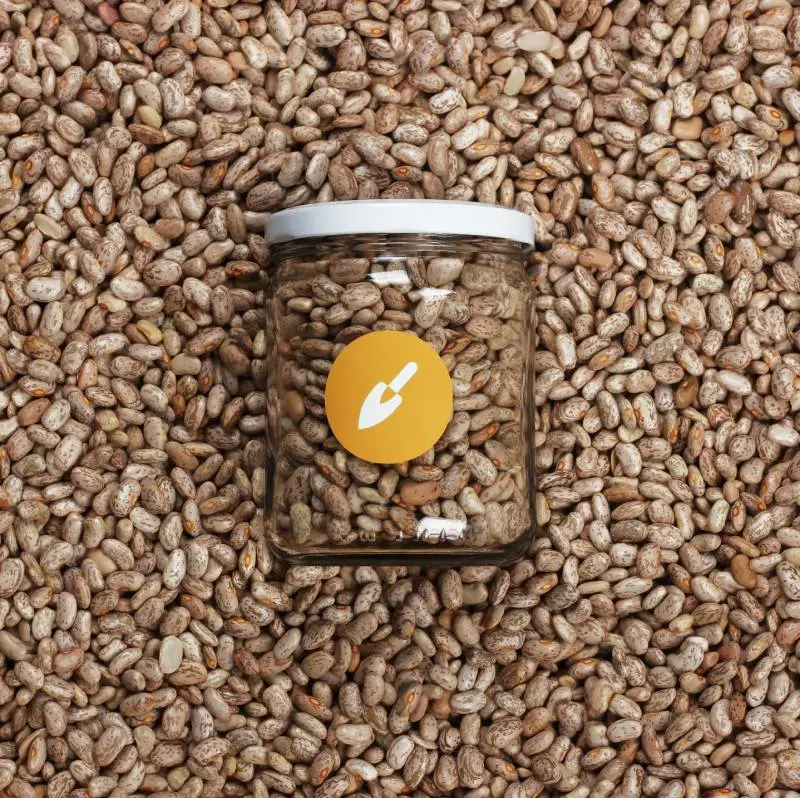 [2168923] Frijol Pinto Nacional (500gr)