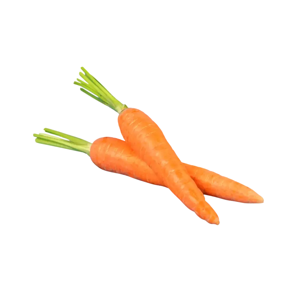 Zanahoria Sin Hoja