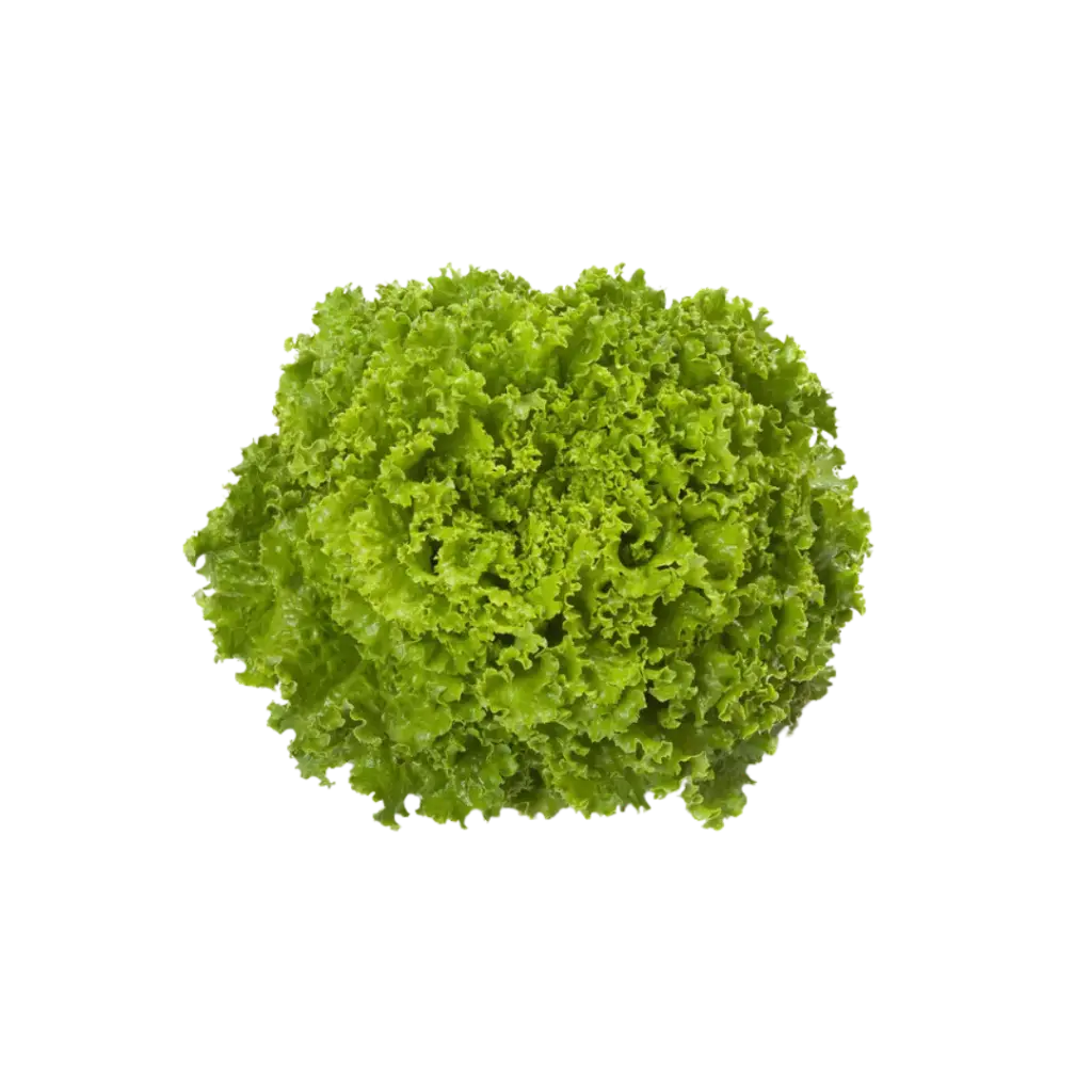 Mix de Lechugas Lavadas 250gr