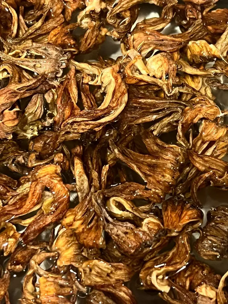 Flor de Jamaica Amarilla 200gr