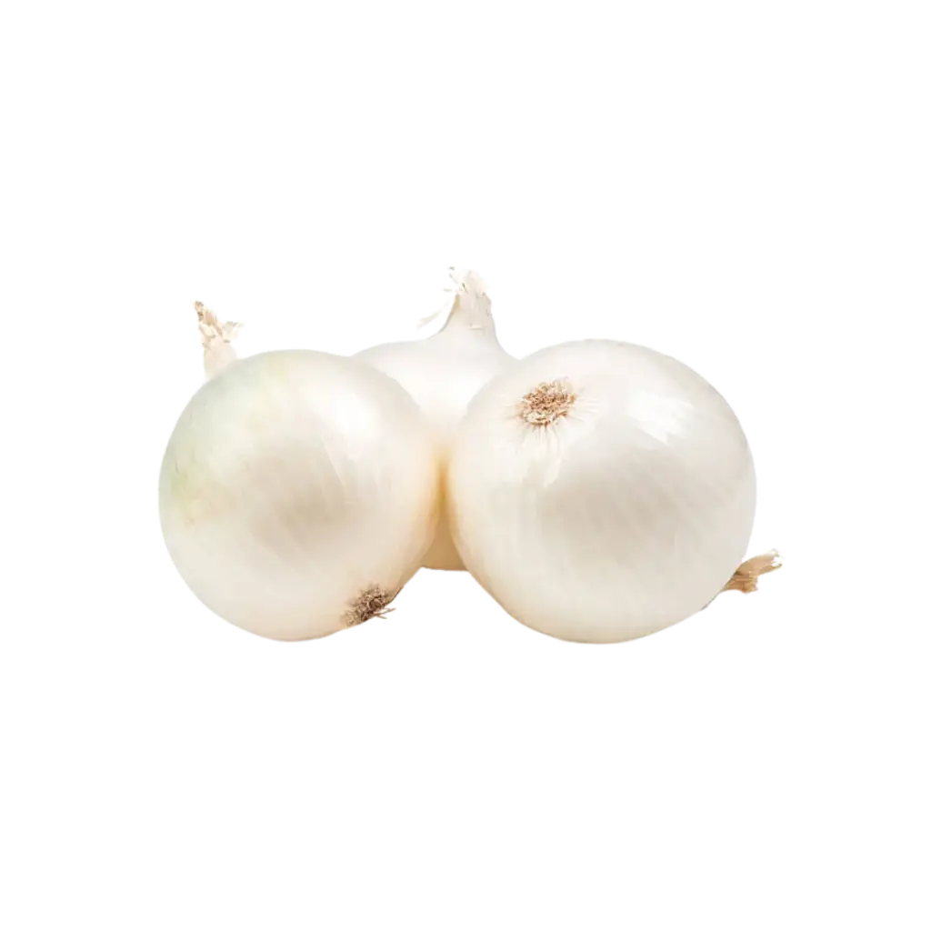 Cebolla Blanca 
