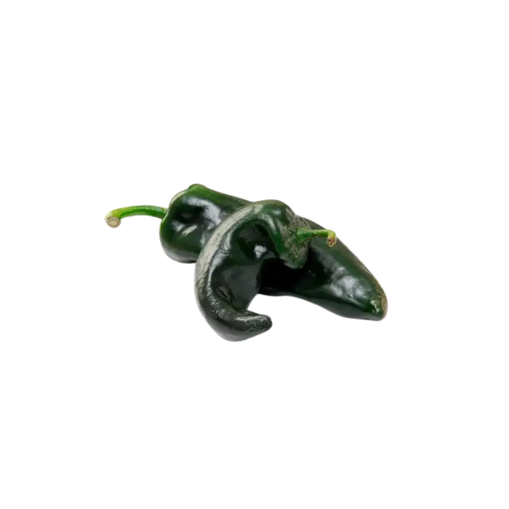Chile Poblano