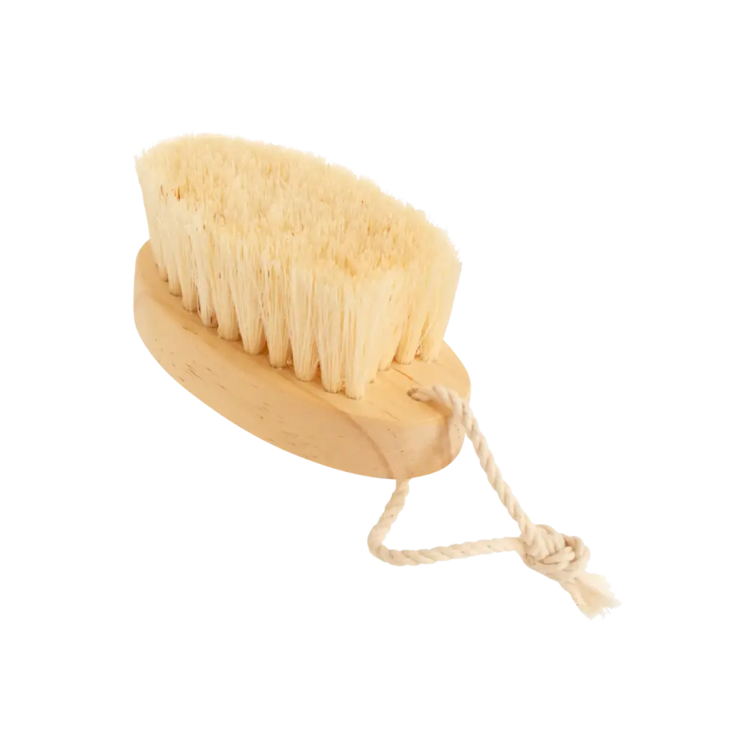 Cepillo Corporal sin Mango