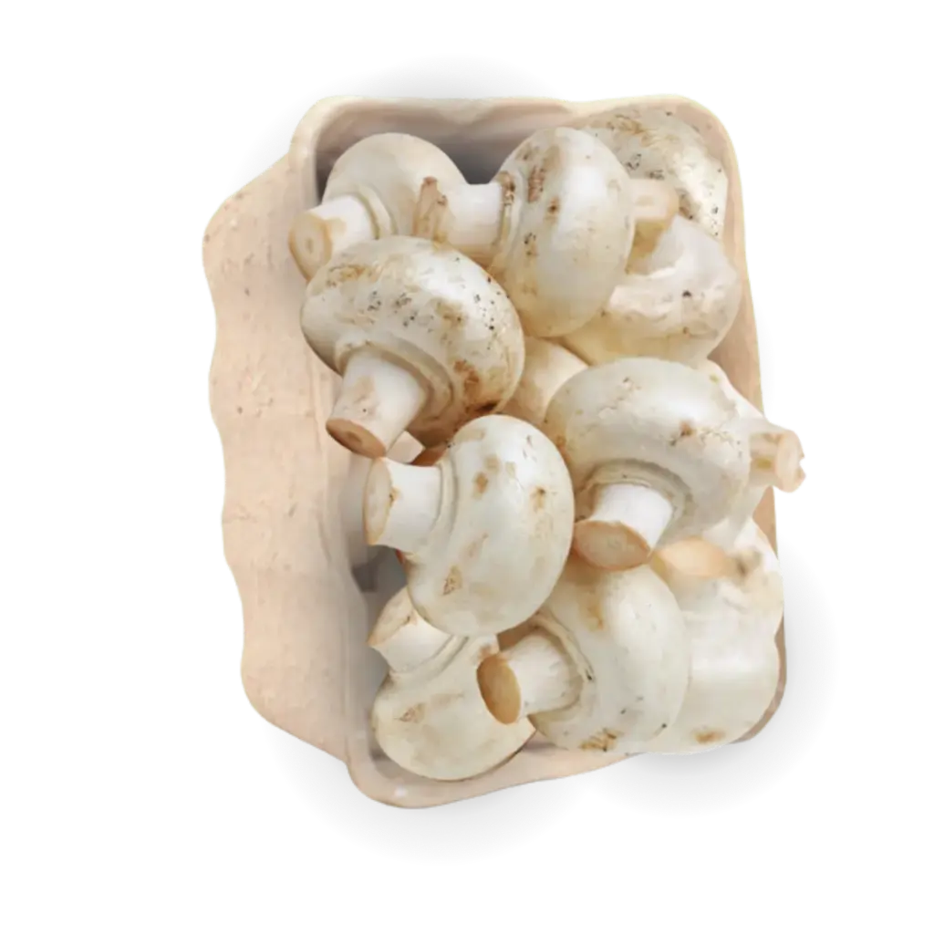 Champiñon Blanco Fresco Paq 225gr