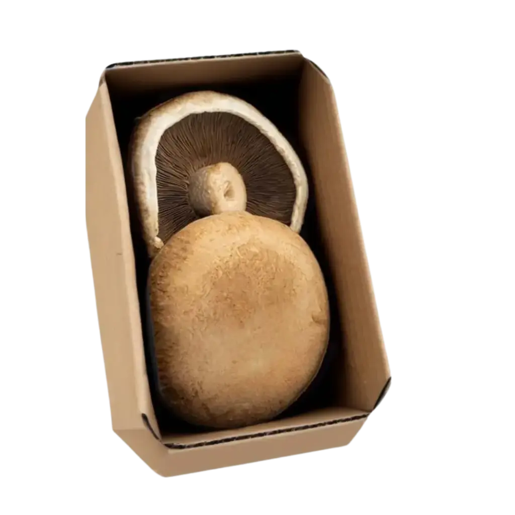 Portobello Paq 250gr  (2 piezas)