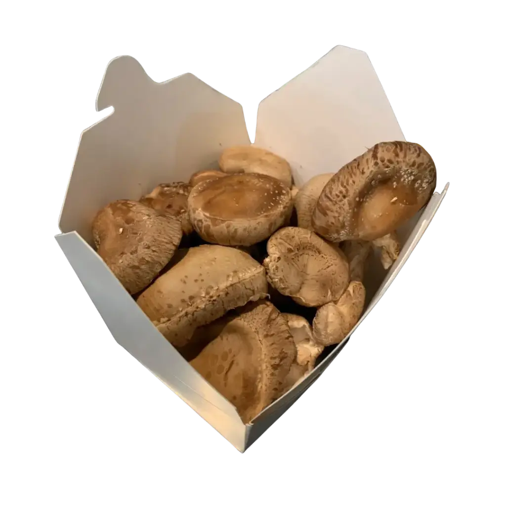 Shiitake Fresco Paq 160gr 