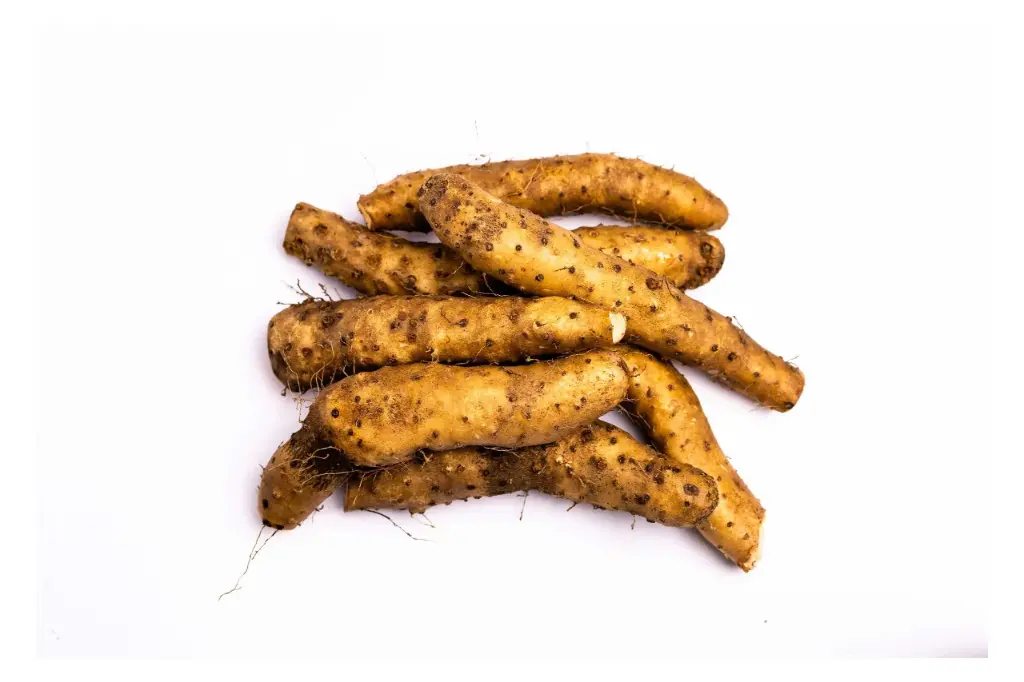 Camote del Cerro
