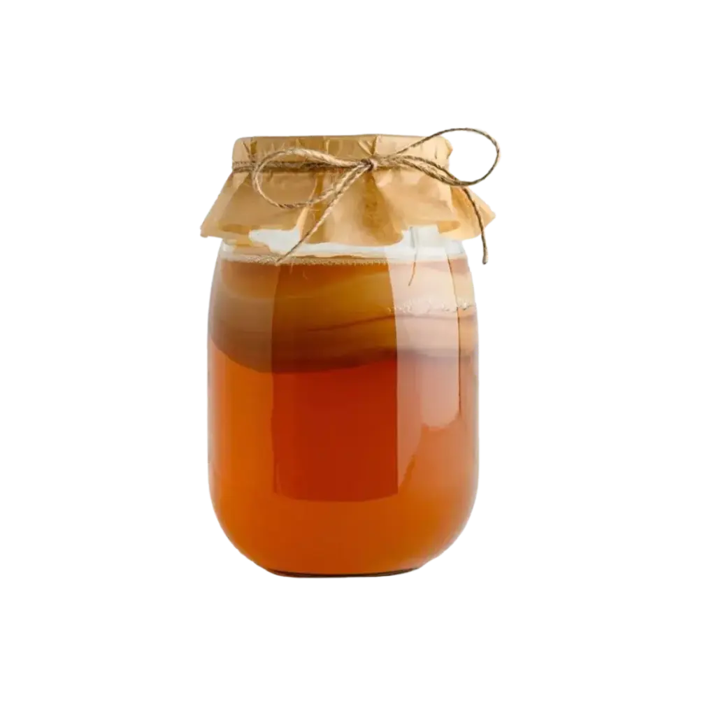SCOBY - Para preparar Kombucha