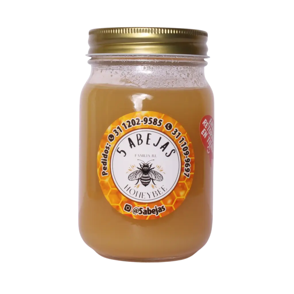 Miel de Abeja 600gr - Tesistán, Jal