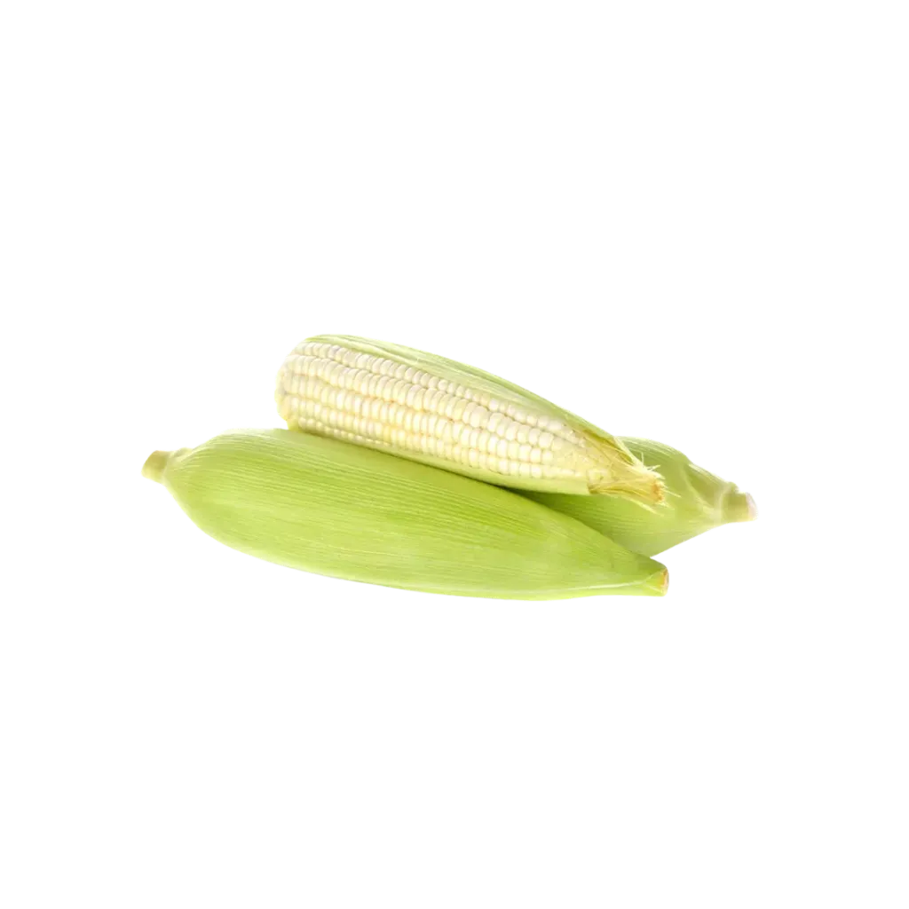 Elote / Pz