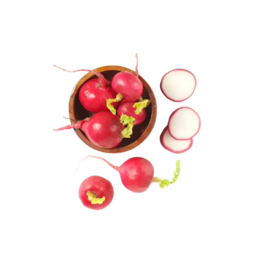 Rabano Rosa / Mjo