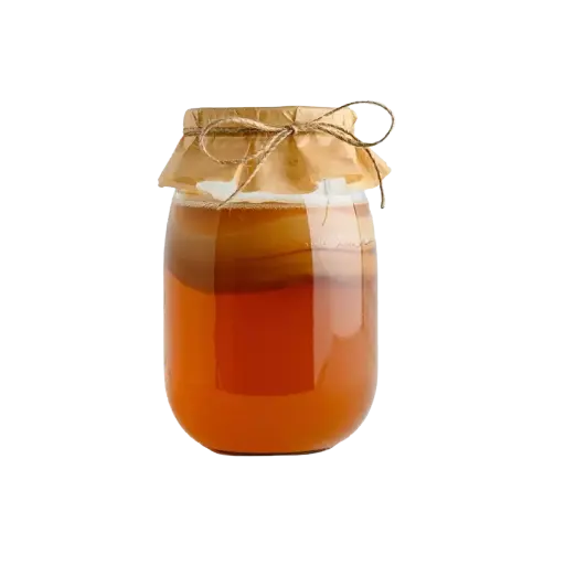 [21681063] SCOBY - Para preparar Kombucha