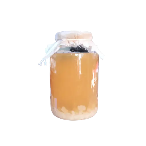 [2168216] Tibicos para Kefir Agua - Frasco