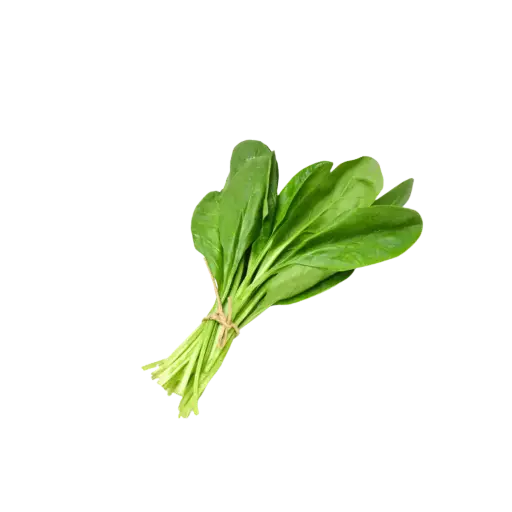 [2168486] Espinacas / Mjo