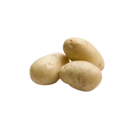 Papa Blanca