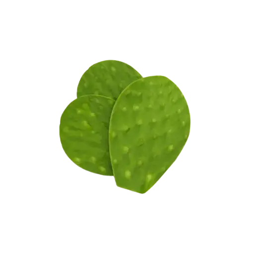 Nopal Limpio