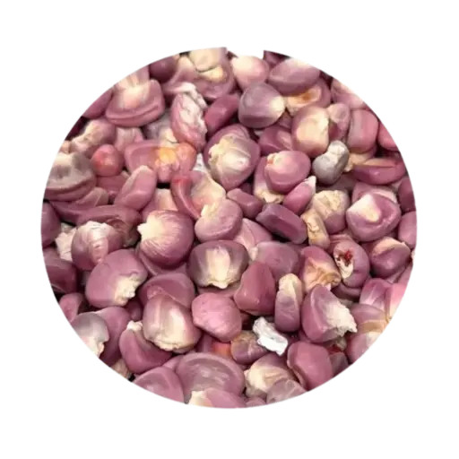 Maíz Pozolero Criollo 500 grs