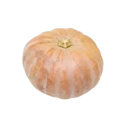 Calabaza de Castilla 4 Kilos