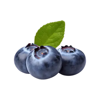 [2169574] Mora Azul Agroecológica Paq 450gr